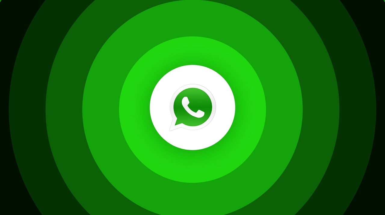 WhatsApp Kullanıcı Adı Desteği