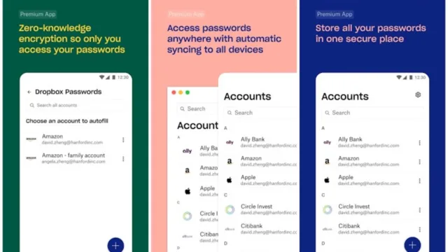 Dropbpx Password sonlandırma