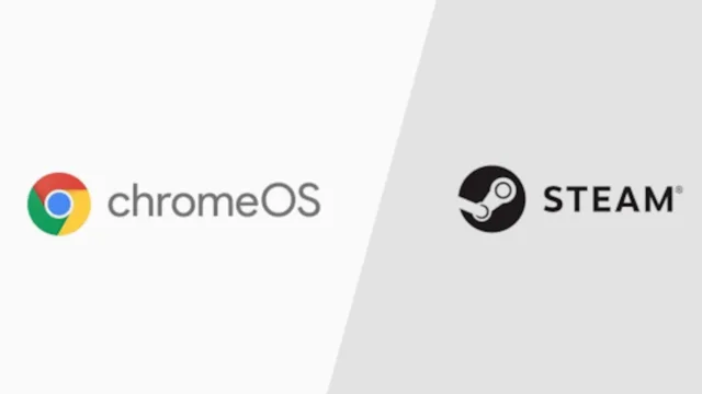 Chromebook Steam
