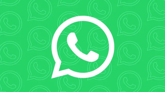WhatsApp beta durum