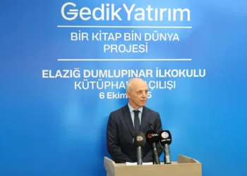 Gedik Yatırım Yurt İçi Aracılık Faaliyetleri ve Yatırım Danışmanlığından Sorumlu Genel Müdür Yardımcısı Ergün Koşucu