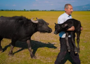 Dünya 2.si Tokat’tan! Huawei XMAGE 2025 ödülleri açıklandı