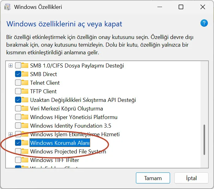 Windows Sandbox nasıl kullanılır