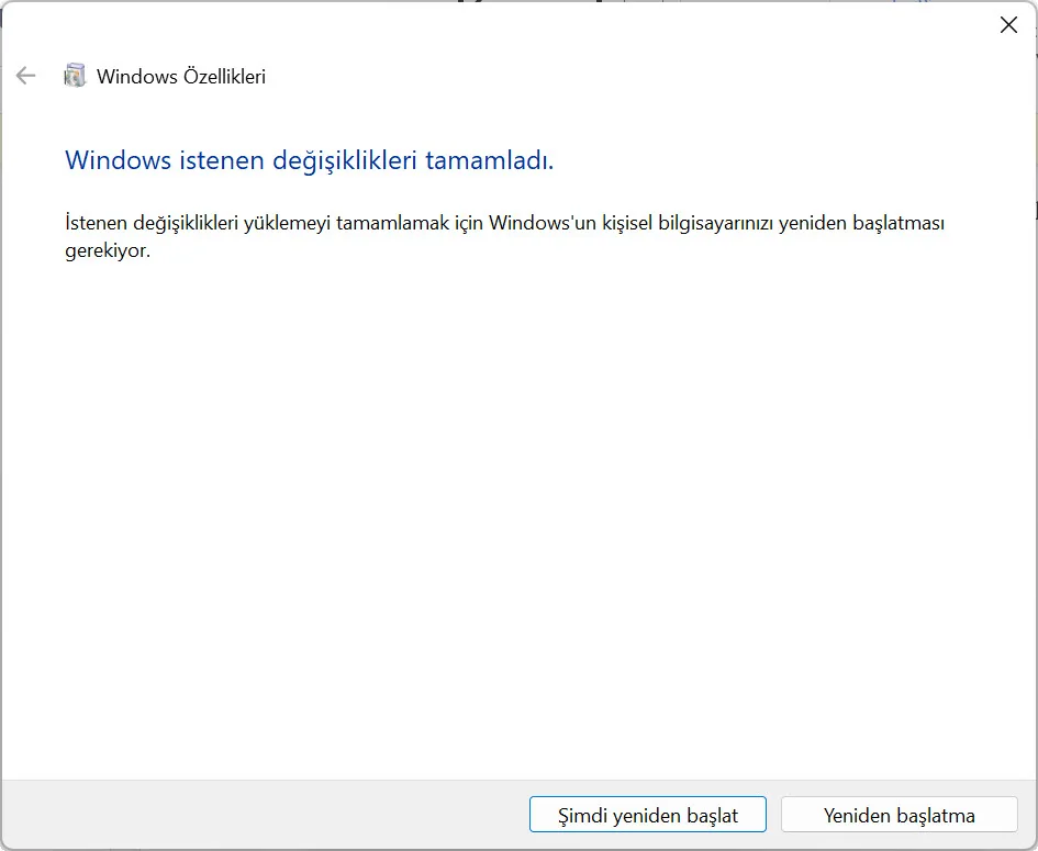 Windows Sandbox nasıl kullanılır