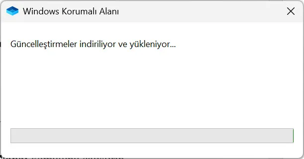 Windows Sandbox nasıl kullanılır