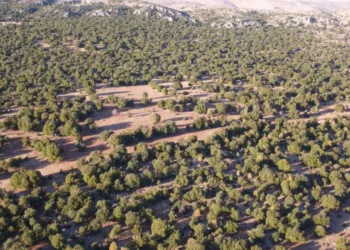 Amazon deprem bölgesindeki ekosistemler için 1,5 milyon Avro hibe sağladı